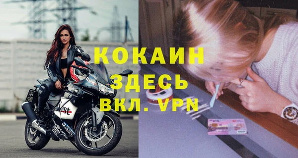 эйфоретик Арсеньев