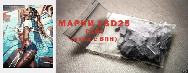 эйфоретик Арсеньев