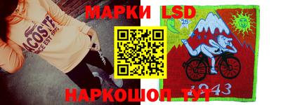 шишки Заводоуковск