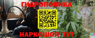 шишки Заводоуковск