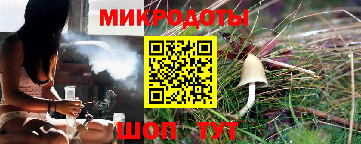 Псилоцибиновые грибы Cubensis Усинск
