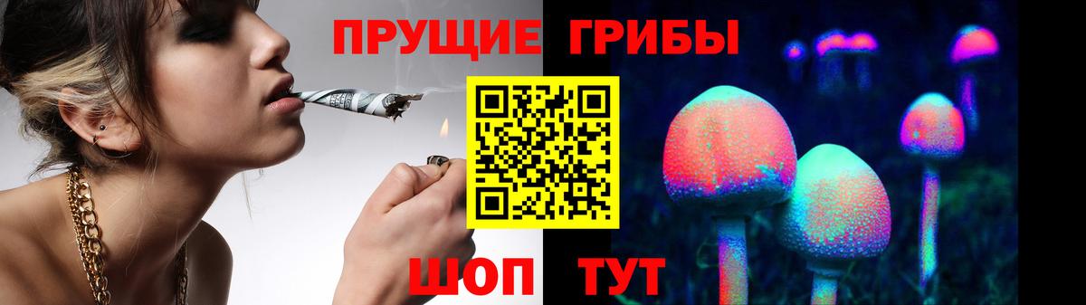 Псилоцибиновые грибы прущие грибы  Вход с VPN  Усинск  Псилоцибиновые грибы мицелий 